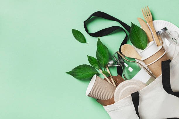 Eco-Friendly Products That Can Help You Save Money